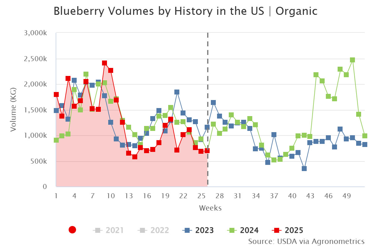 blueberry volumes by his 1